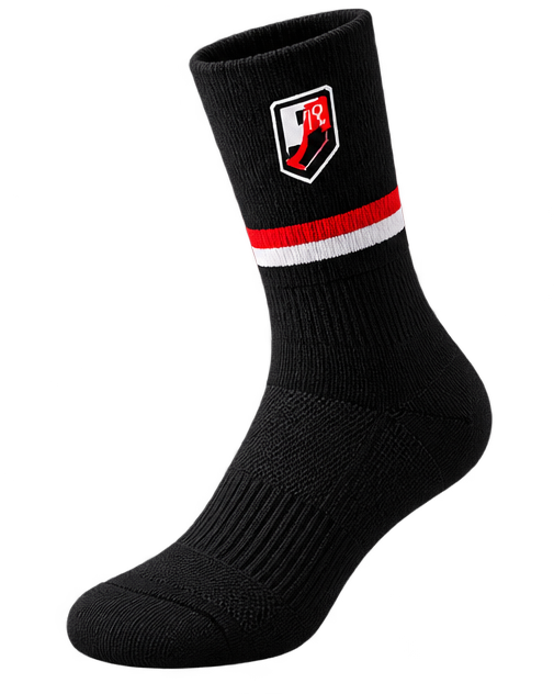 StrydeGoSox compression sock